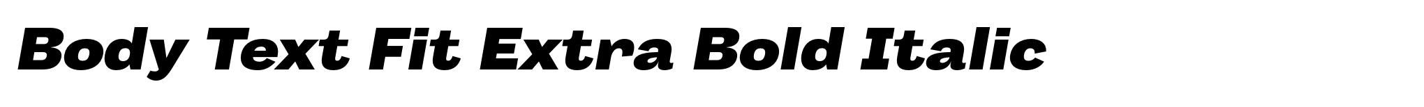 Body Text Fit Extra Bold Italic image